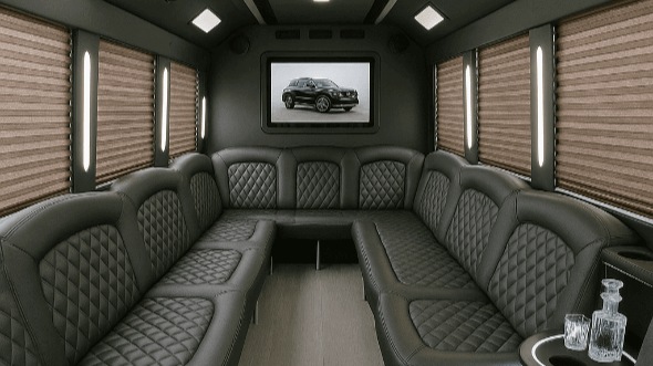 30 passenger party bus interior