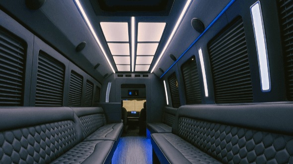 plano 20 passenger party bus